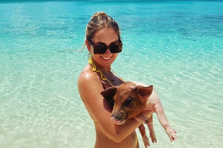 Nassau Swimming Pigs and Private Beach Club Escape