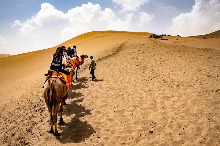 Pushkar: Sunset Camel Safari with Hotel Pick up & Drop off