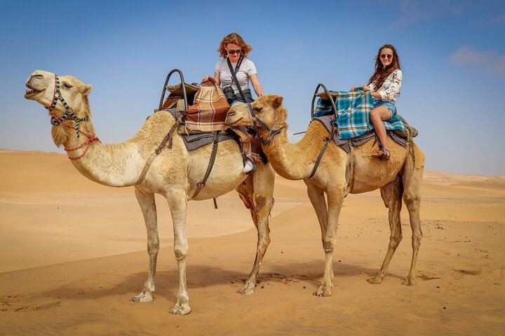 Pushkar: Sunset Camel Safari with Hotel Pick up & Drop off