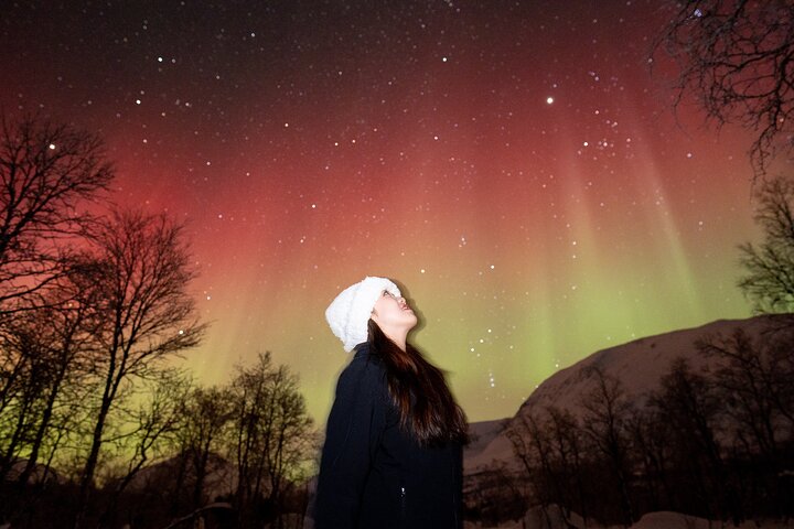 Northern Lights Tour with Local Guide and Photos