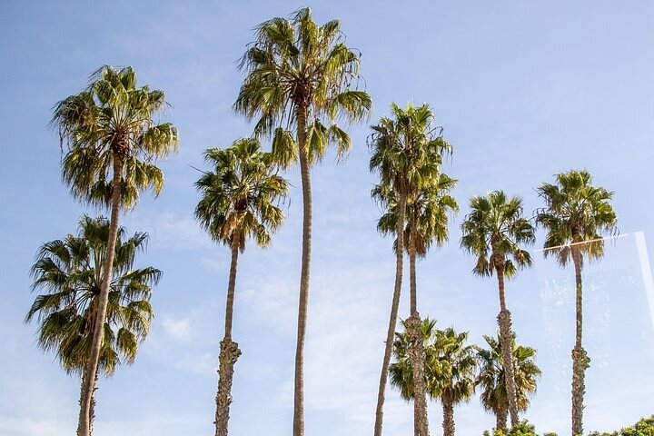 Full-Day Iconic Sights of LA, Hollywood, Beverly Hills, Beaches and More