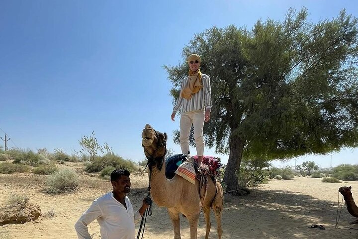 Non-touristic overnight camel safari