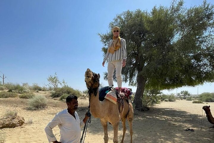 Non-touristic overnight camel safari