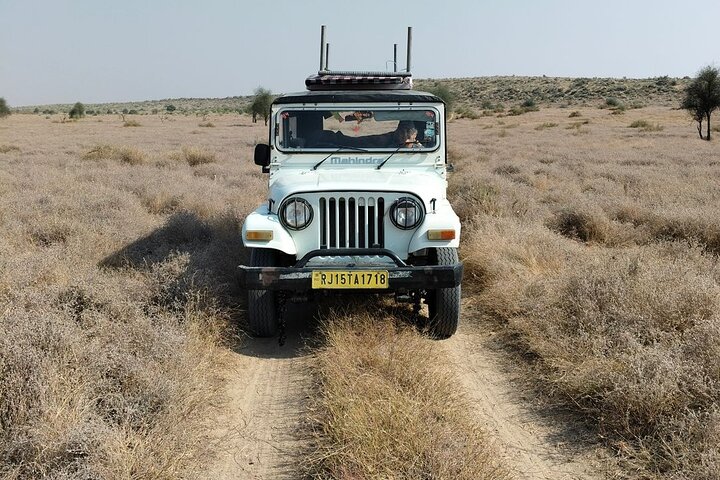 Non-touristic overnight camel safari