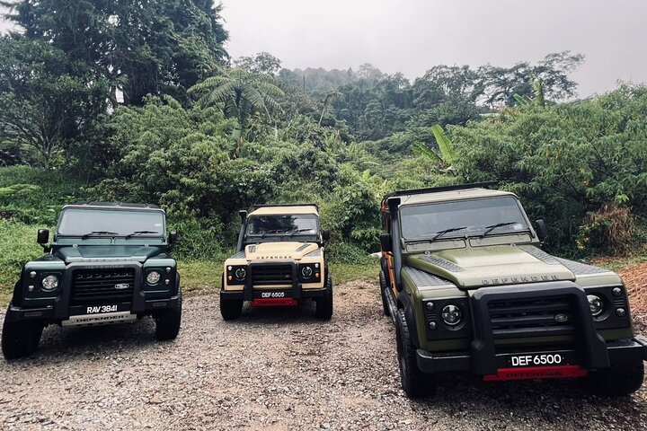 Cameron highlands Mossy Forest Halfday Tour (Shared Tour)