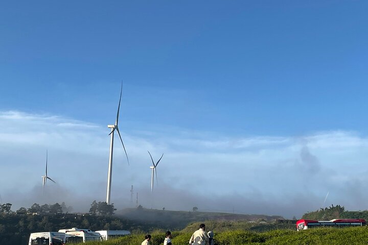 Da Lat Cloud Hunting Tour with Local Breakfast