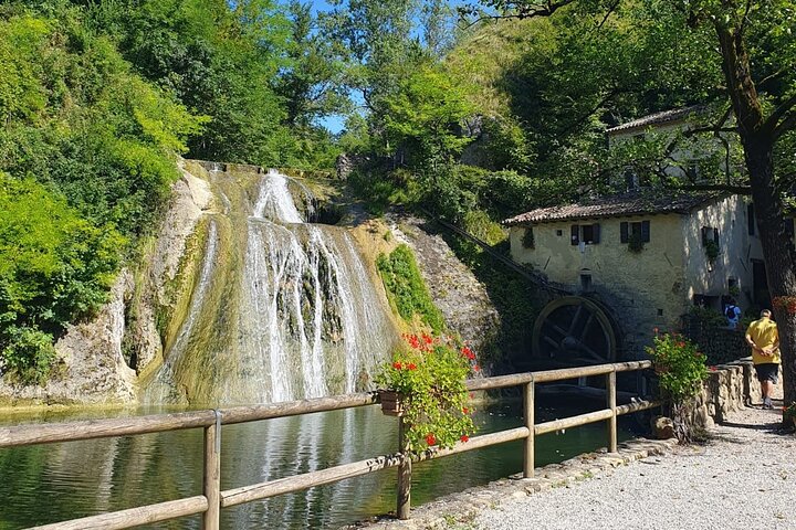 Tour in the Prosecco Hills Tour from Padua