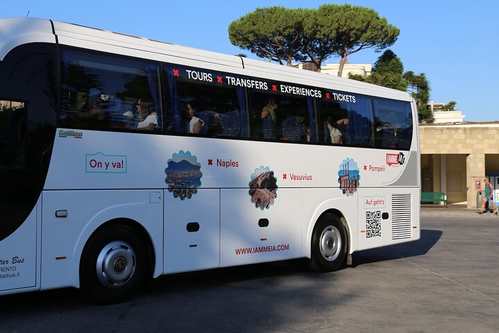 Priority Access Pompeii & Vesuvius Full-Day Tour from Sorrento
