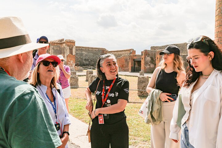 Priority Access Pompeii & Vesuvius Full-Day Tour from Sorrento