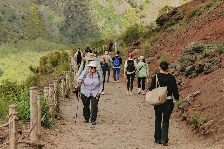 Priority Access Pompeii & Vesuvius Full-Day Tour from Sorrento