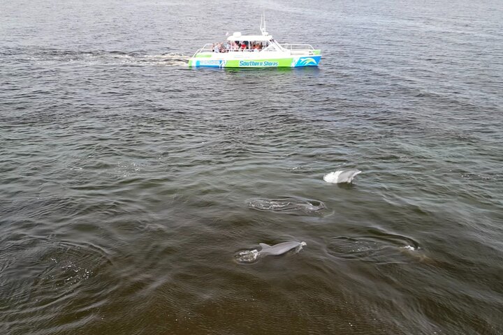 Catamaran Dolphin Cruise in Myrtle Beach with Barrier Island Stop