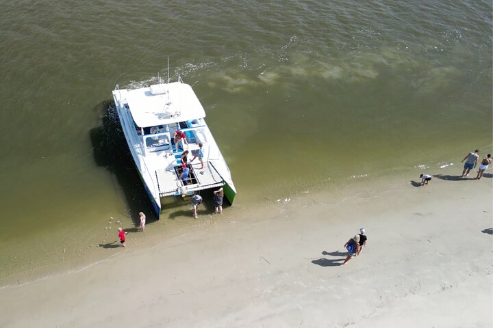 Catamaran Dolphin Cruise in Myrtle Beach with Barrier Island Stop