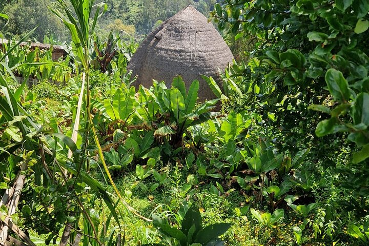 3 Days Arba Minch and Konso Tour: Nature and Culture Adventure