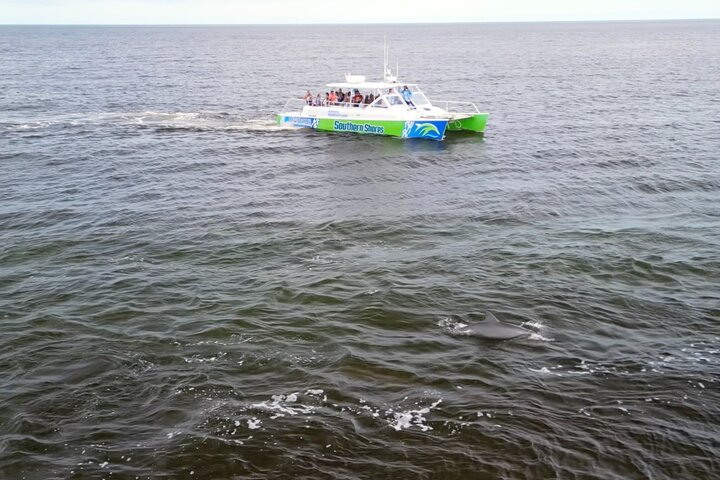 Catamaran Dolphin Cruise in Myrtle Beach with Barrier Island Stop