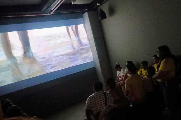 Museum Day in Barranquilla