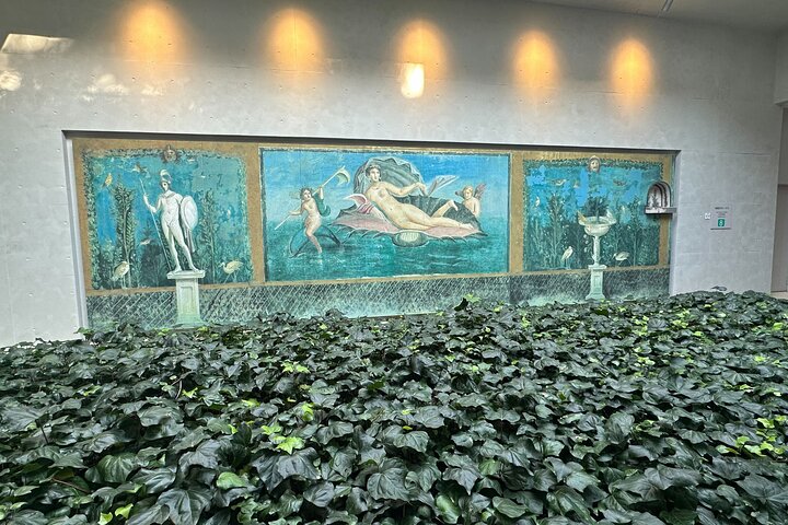 Full Day Tokushima Tour