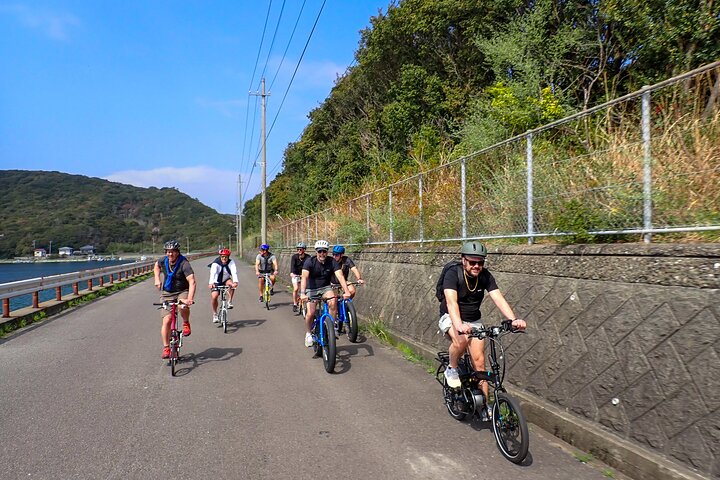 Full Day Tokushima Tour
