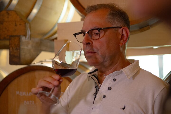 From Padua: Olive Oil & Wine in the Euganean Hills