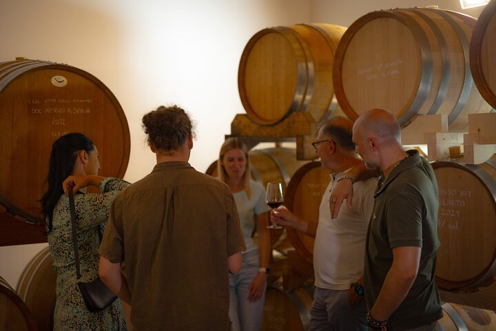 From Padua: Olive Oil & Wine in the Euganean Hills