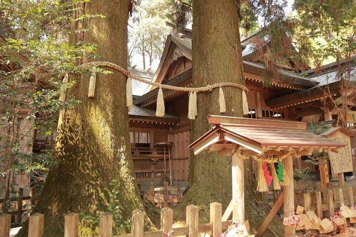 Kumamoto Route Bus 1 Day Trip: Takachiho Gorge and Local Lunch