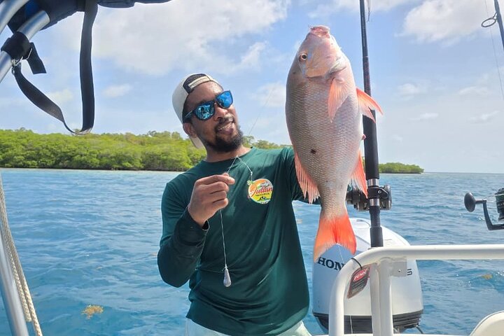 Reef Fishing Tour Trolling and Drop Fishing Trip from Hopkins
