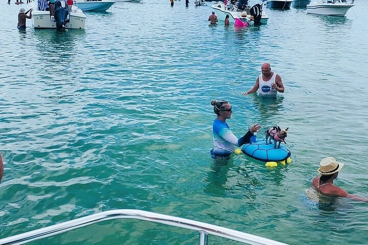 Private 3 hour Charter and Sandbar in Islamorada