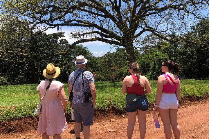 1 Day Best of Entebbe City Guided Walking Tour