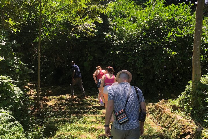 1 Day Best of Entebbe City Guided Walking Tour