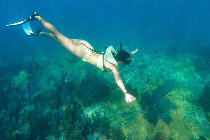 Key West Morning Snorkel Sail with Mimosas and Gourmet Breakfast
