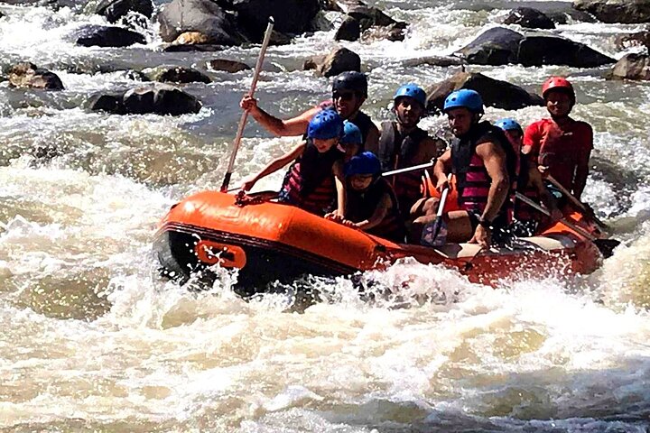 Ethical Elephant Visit and White Water Rafting in Chiang Mai