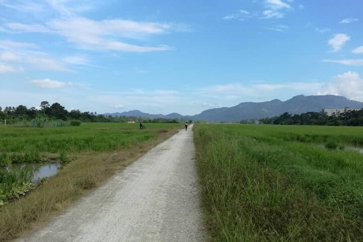 Penang: ATV Ride in Balik Pulau with Snacks and Transfers