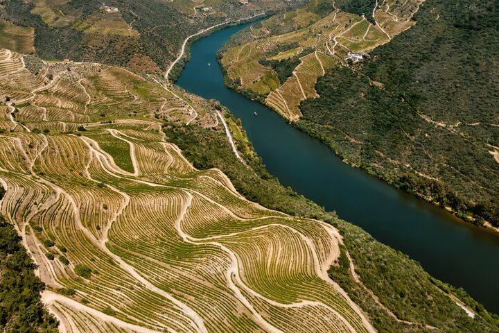 Douro River Cruise from Pinhão with Scenic Train Return