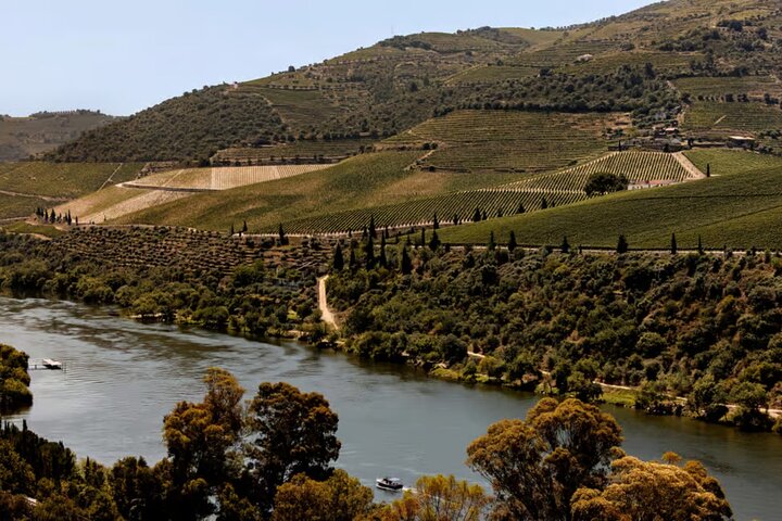 Douro River Cruise from Pinhão with Scenic Train Return