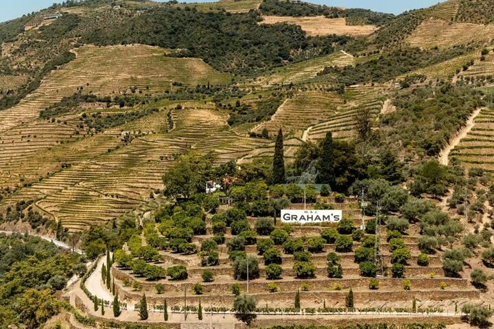 Douro River Cruise from Pinhão with Scenic Train Return
