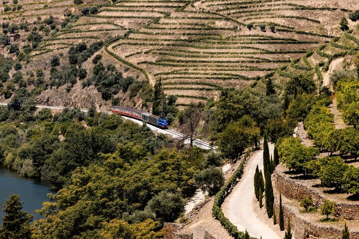 Douro River Cruise from Pinhão with Scenic Train Return