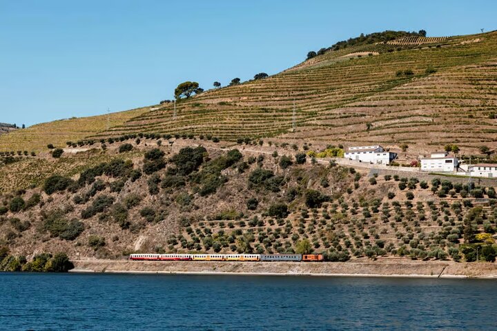 Douro River Cruise from Pinhão with Scenic Train Return