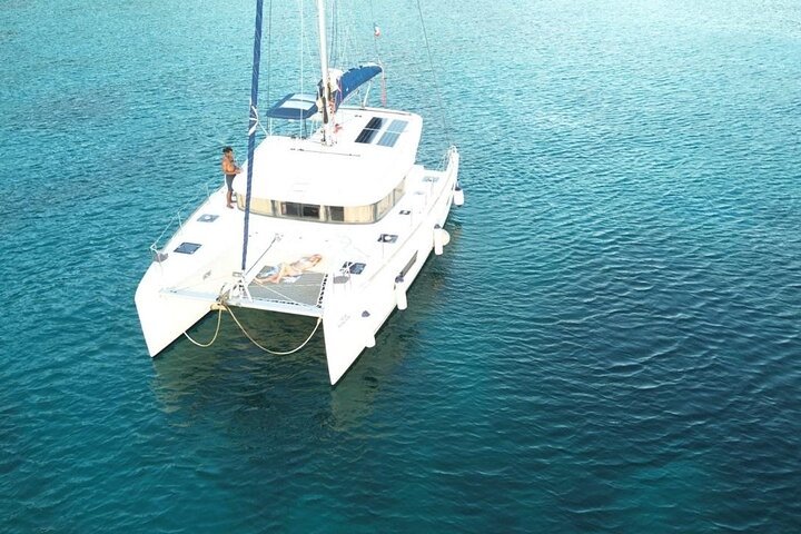 Full day in Martinique Catamaran Dolphins and Turtles