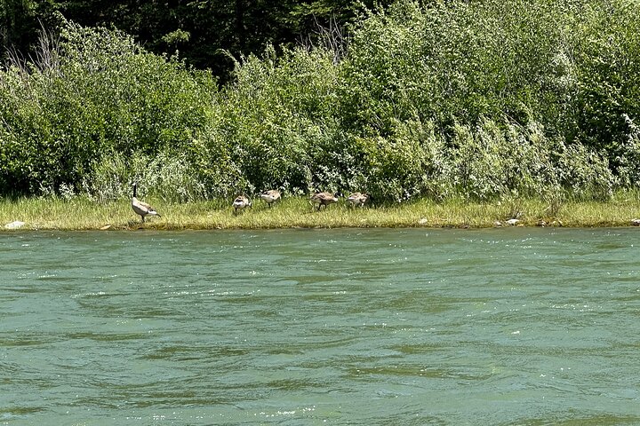 Scenic Float Trip on the Snake River in Grand Teton National Park