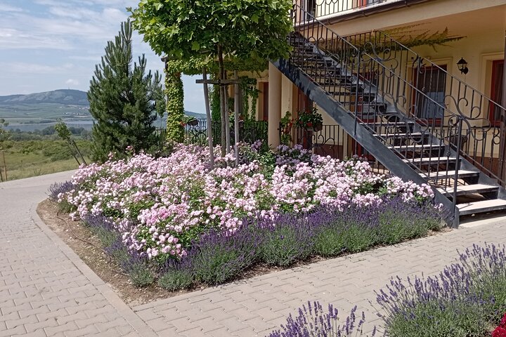 Wine Culture and UNESCO Gems Lednice Valtice Area and Mikulov