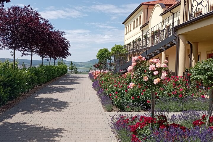 Wine Culture and UNESCO Gems Lednice Valtice Area and Mikulov