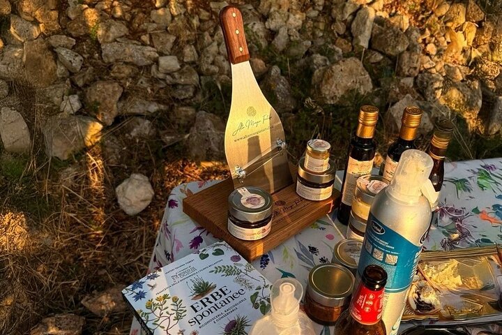 Truffle hunting with tasting in the woods