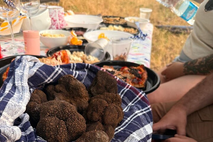Truffle hunting with tasting in the woods