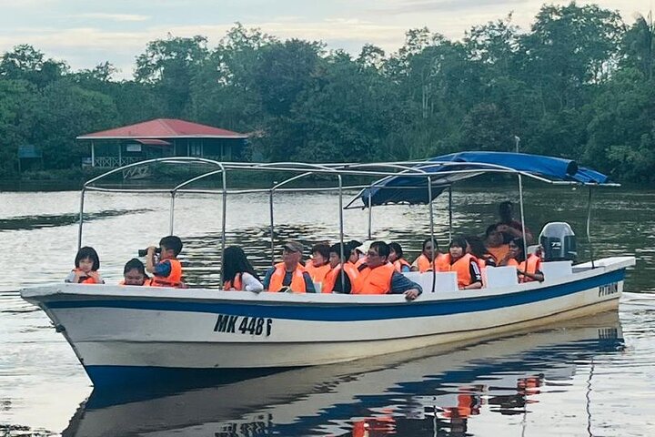 Borneo (Klias) River Cruise & Fireflies Tour
