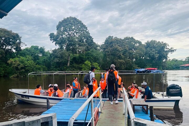 Borneo (Klias) River Cruise & Fireflies Tour