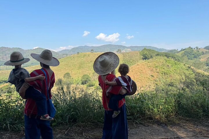 Elephant Care & Bathing Chiang Rai