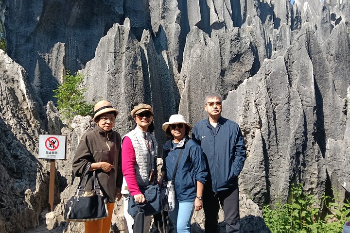 All Inclusive Kunming Tour to Stone Forest,Flower and Bird Market