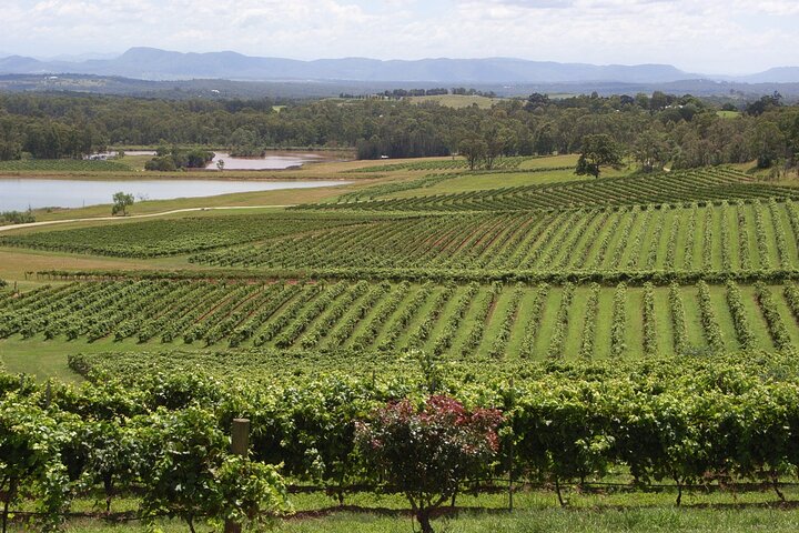 Hunter Valley All Inclusive Boutique Wine Tour from Sydney