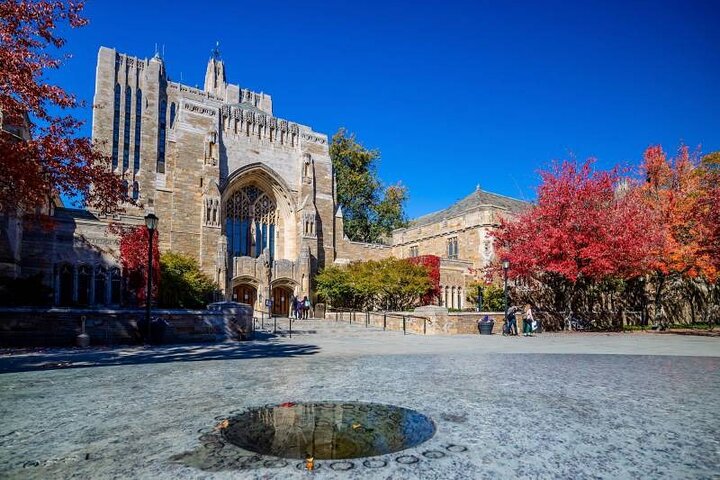 Astonishing University hunt: Yale and Beyond