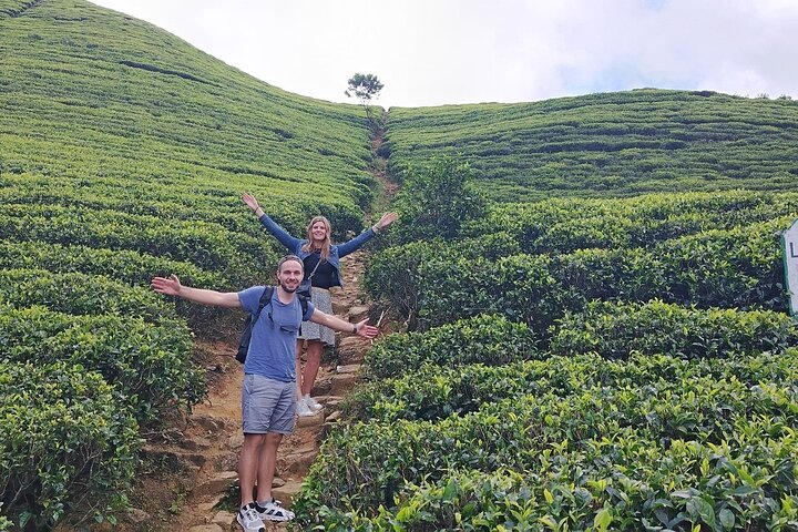 Kandy to Nuwara Eliya Private Day Tour: Tea Factory& Gregory Lake