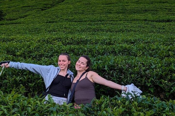Kandy to Nuwara Eliya Private Day Tour: Tea Factory& Gregory Lake
